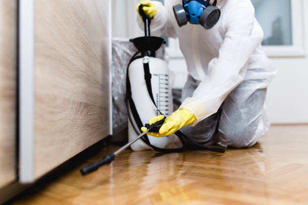 Best Emergency Pest Control  in Tioga Terrace, NY