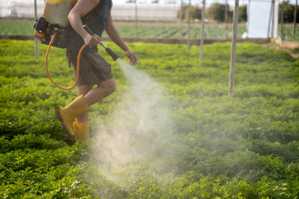 Best Pest Control for Homes  in Tioga Terrace, NY