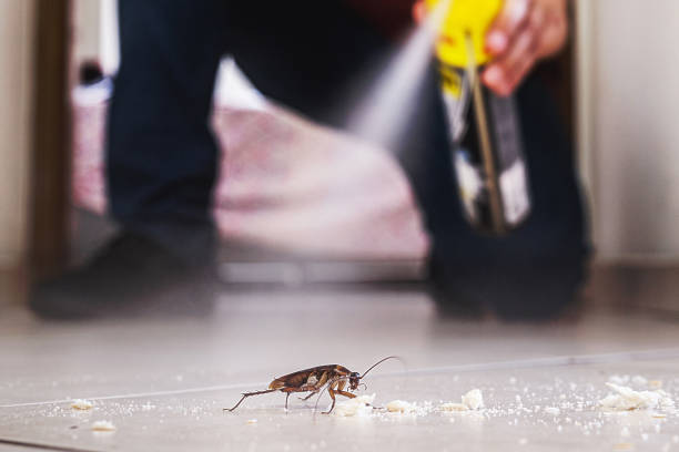 Best Pest Removal Services  in Tioga Terrace, NY